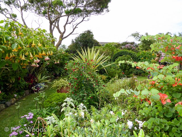 Bishop garden in Ulladulla