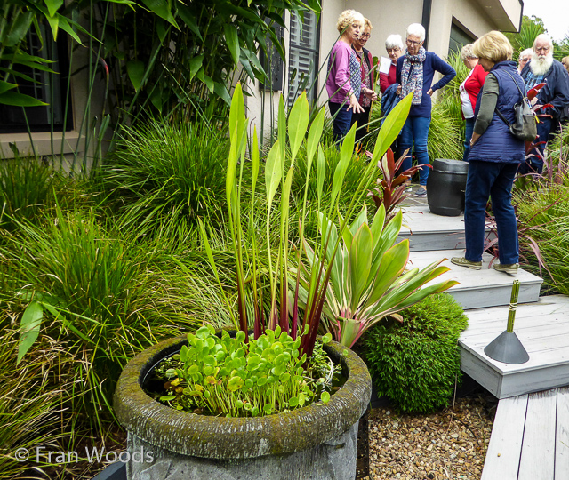 Helen and John's garden in Mollymook