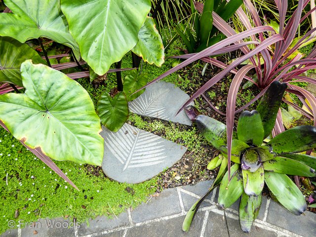 Helen and John's garden in Mollymook