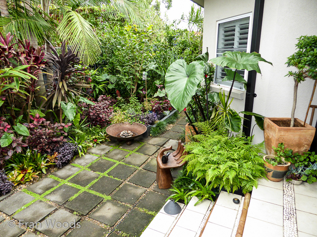 Helen and John's garden in Mollymook