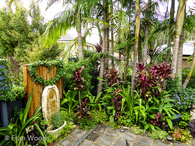 Helen and John's garden in Mollymook