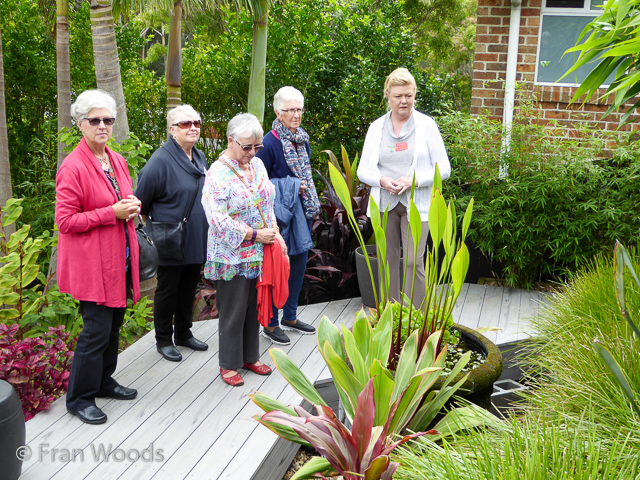 Helen and John's garden in Mollymook