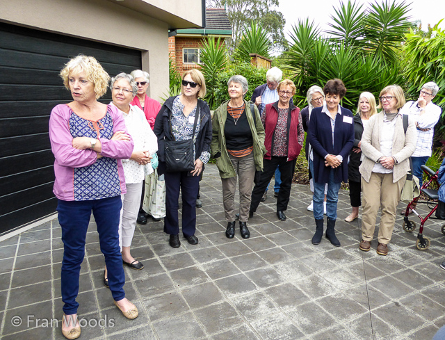 Helen and John's garden in Mollymook