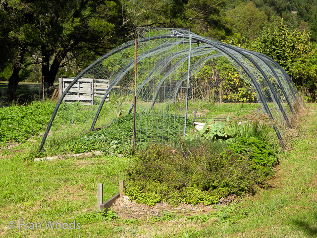 Visit James' garden