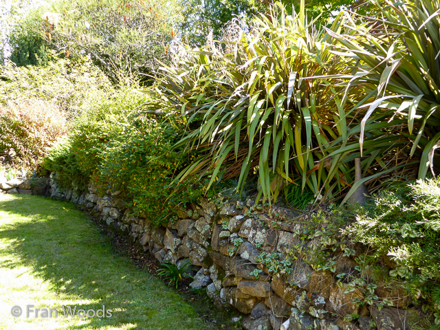 Visit James' garden