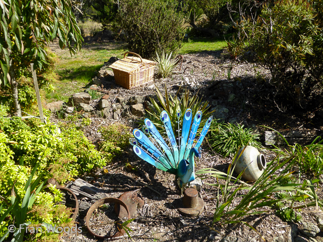 Visit James' garden