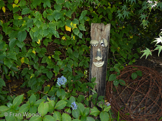 Visit James' garden