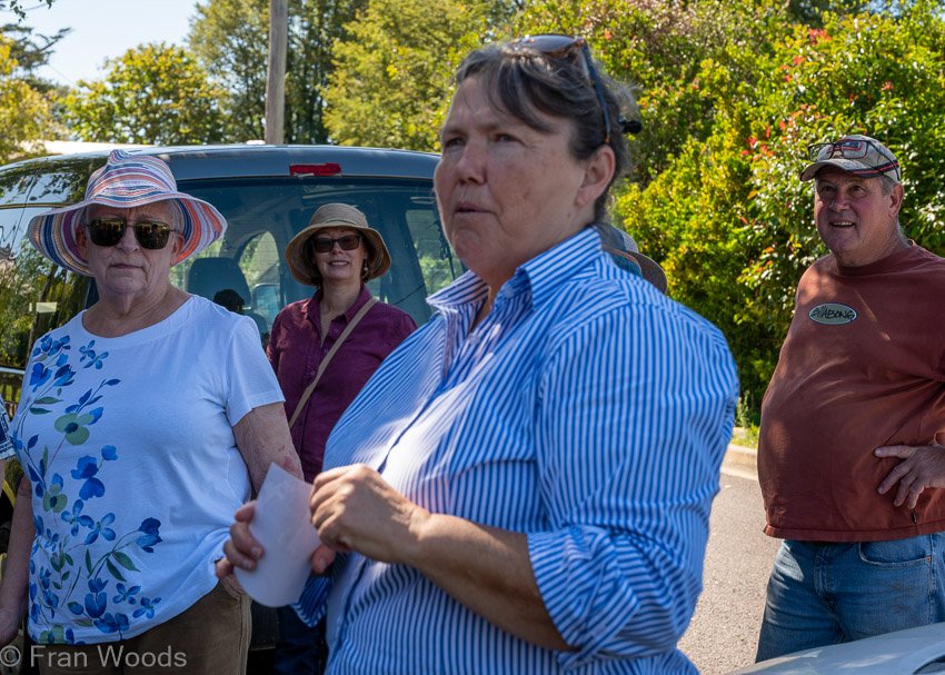 Historic garden in Park Lane