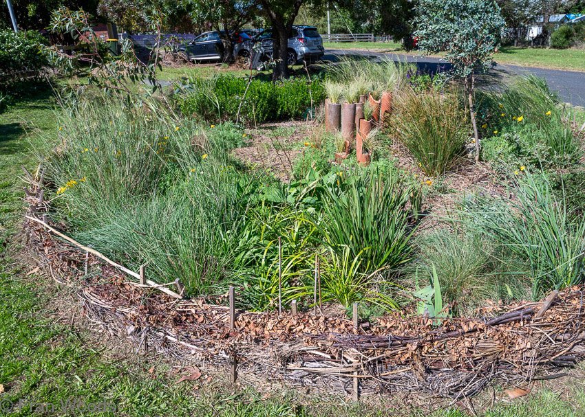 Monkittee Street garden