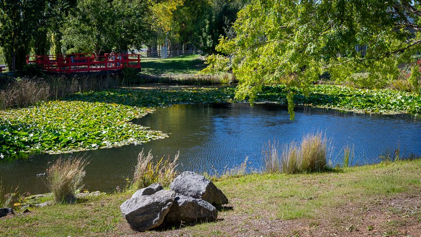 Local pond at senior's village
