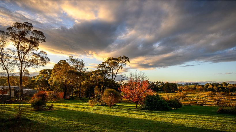 Late afternoon light