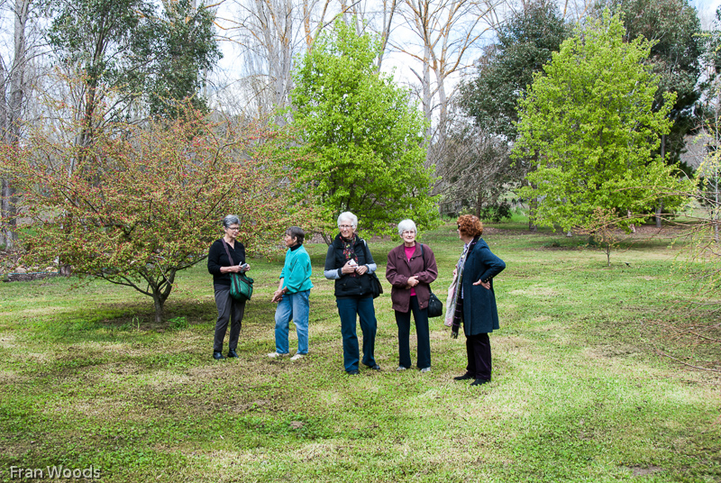 Murray garden, Braidwood