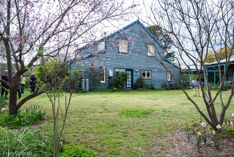 Murray garden, Braidwood