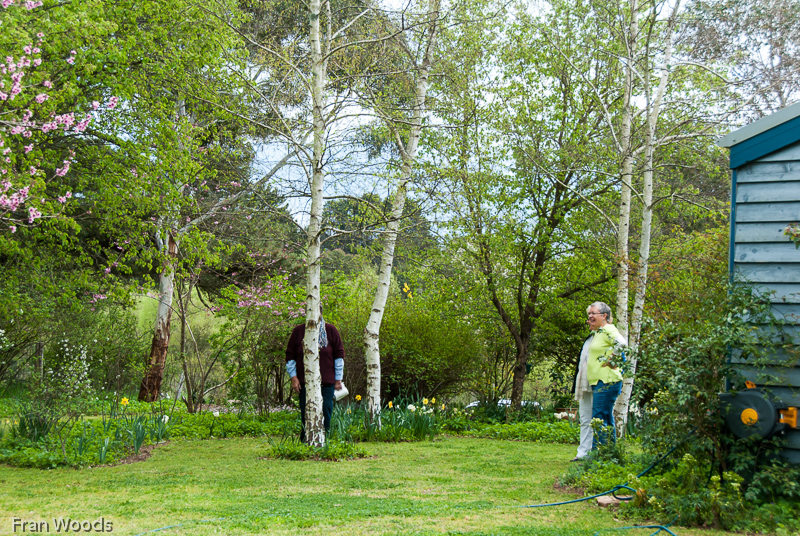 Murray garden, Braidwood