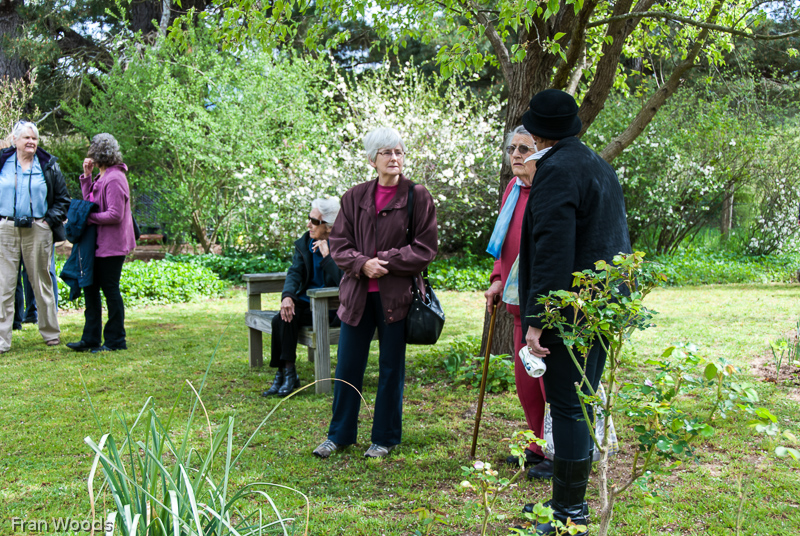 Murray garden, Braidwood