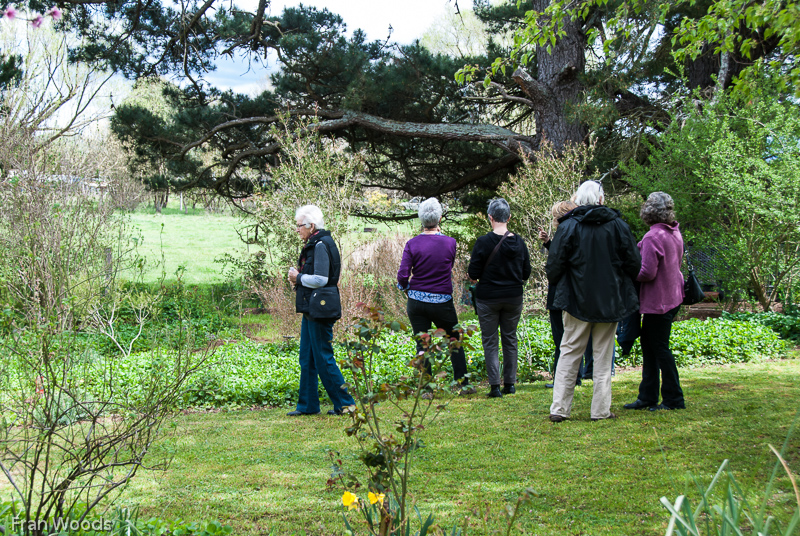 Murray garden, Braidwood