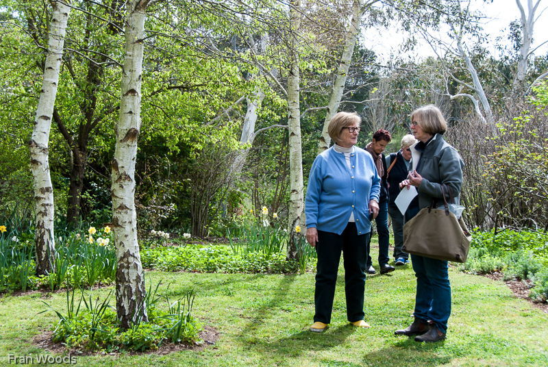 Murray garden, Braidwood