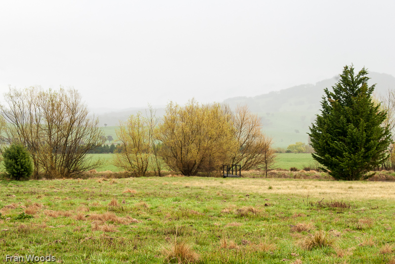 Nindth farm, Braiwood area