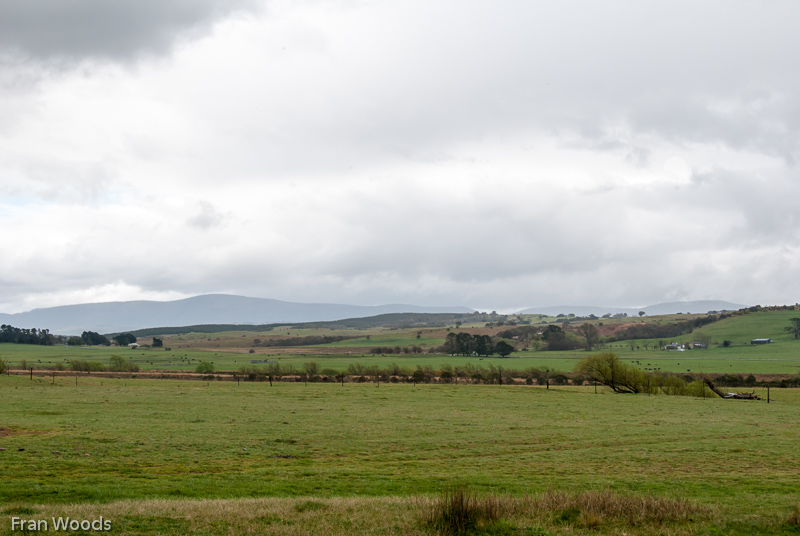 Nindth farm, Braiwood area