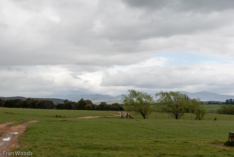 Nindth farm, Braiwood area