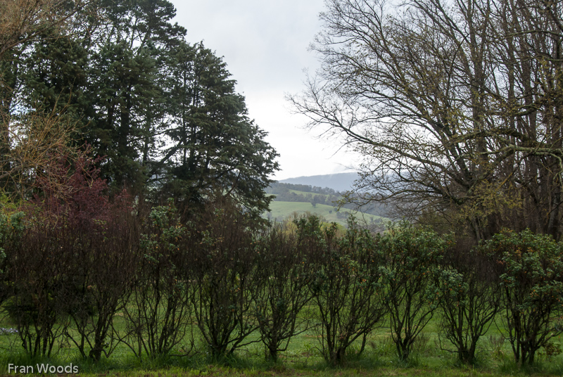 Nindth farm, Braiwood area