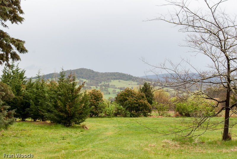 Nindth farm, Braiwood area