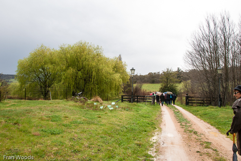 Nindth farm, Braiwood area