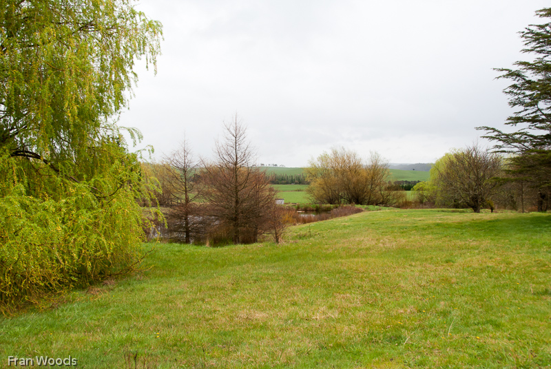 Nindth farm, Braiwood area