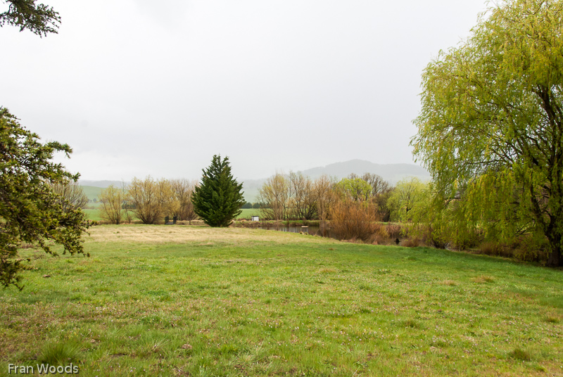 Nindth farm, Braiwood area