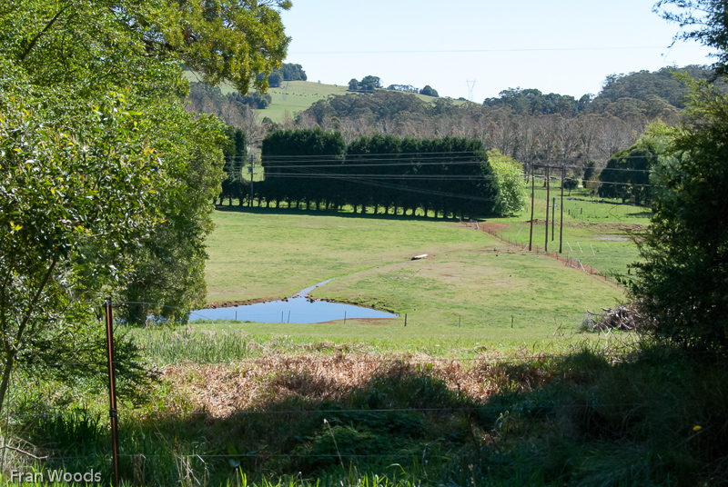 Bundaleer, Robertson