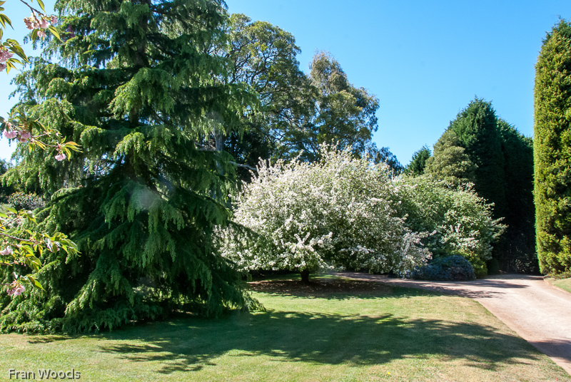 Bundaleer, Robertson