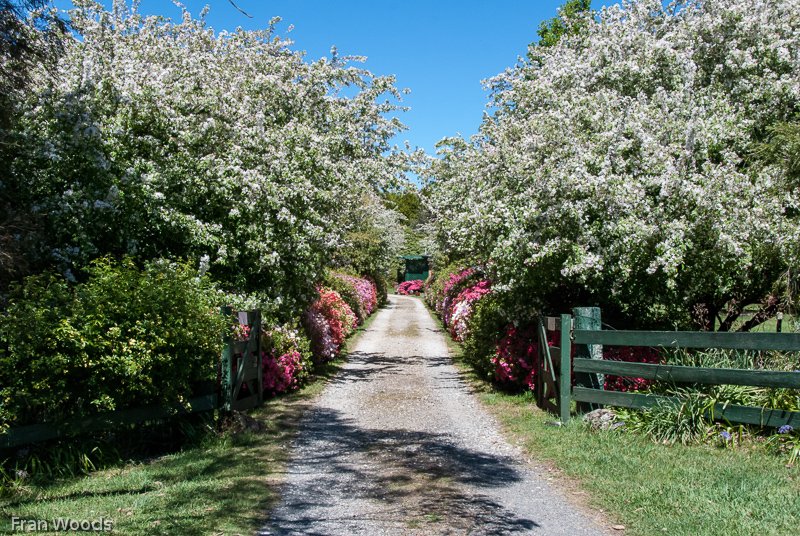 Garden entrance, Robertson