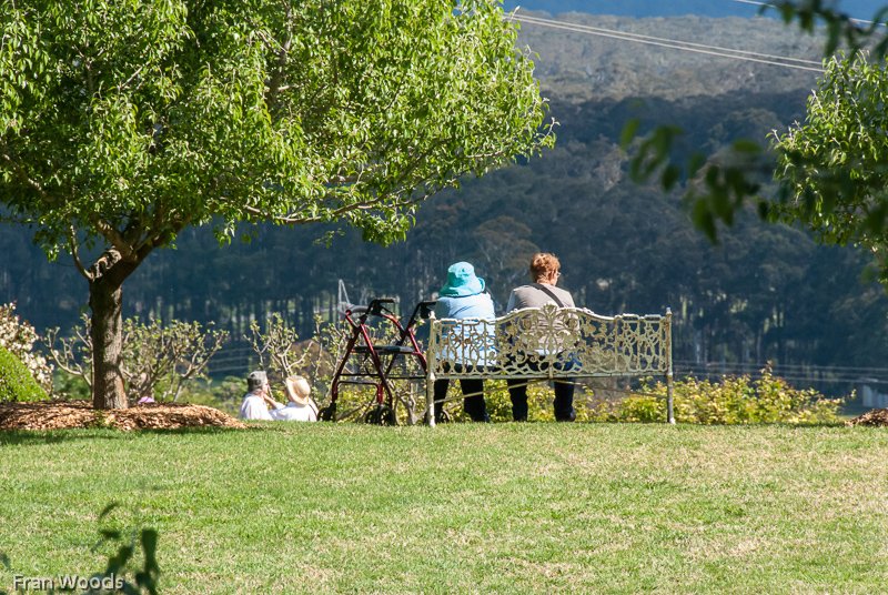 Lynwood Farm, Robertson