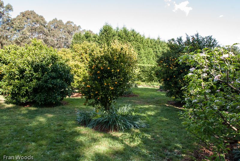 Lynwood Farm, Robertson