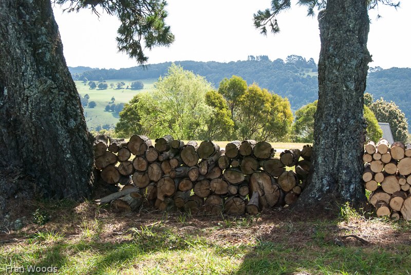 Lynwood Farm, Robertson