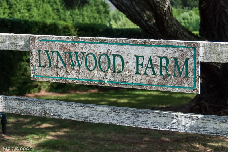 Lynwood Farm, Robertson