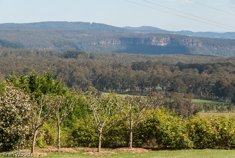 Lynwood Farm, Robertson