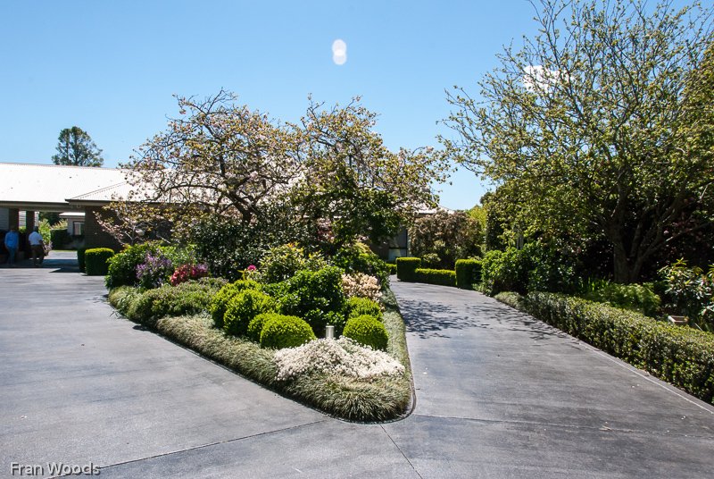 The Garden, Robertson