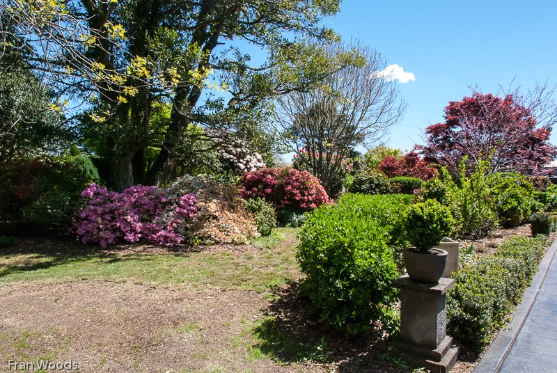 The Garden, Robertson