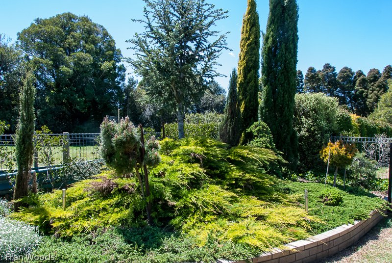 The Garden, Robertson