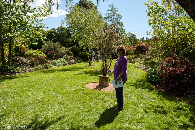 The Moorings, Robertson