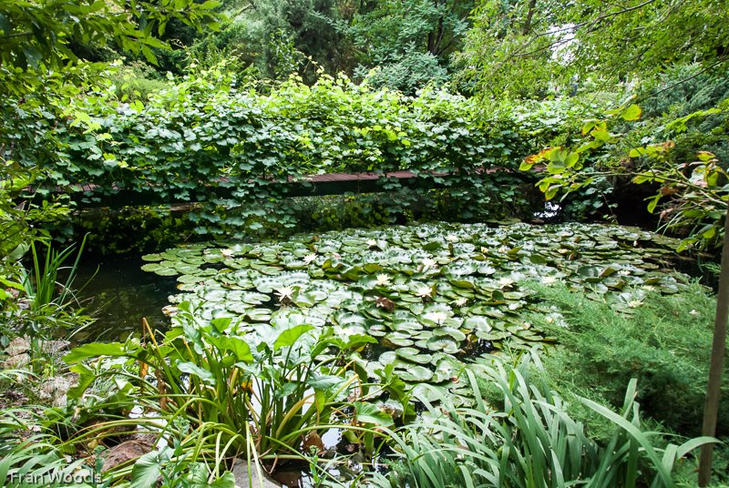 Whiteley's Garden, Yass