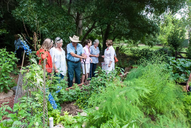 Whiteley's Garden, Yass