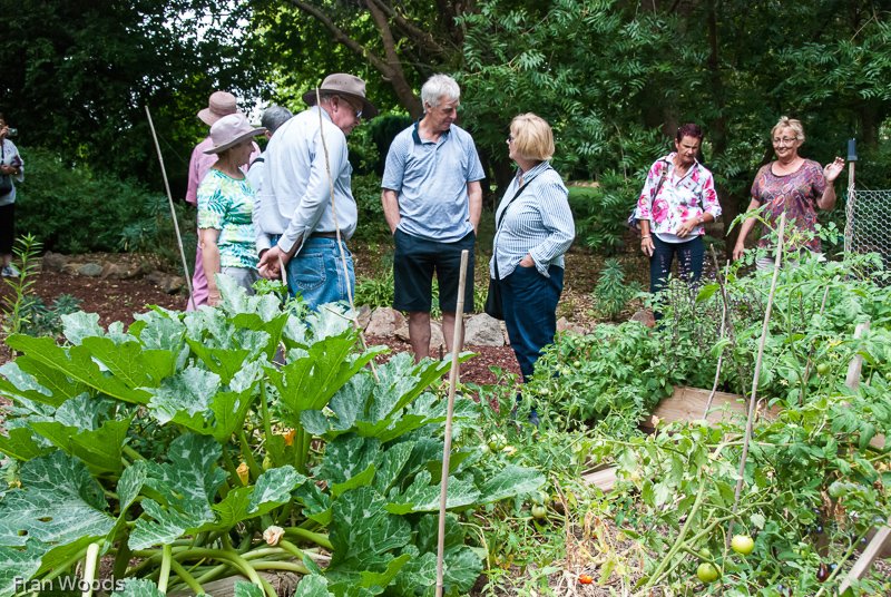 Whiteley's Garden, Yass