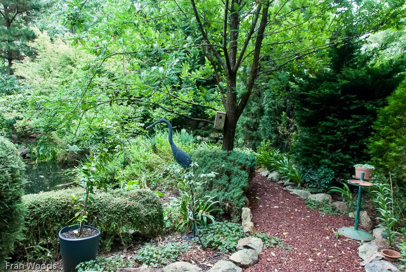 Whiteley's Garden, Yass