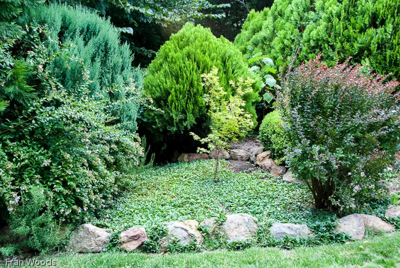 Whiteley's Garden, Yass