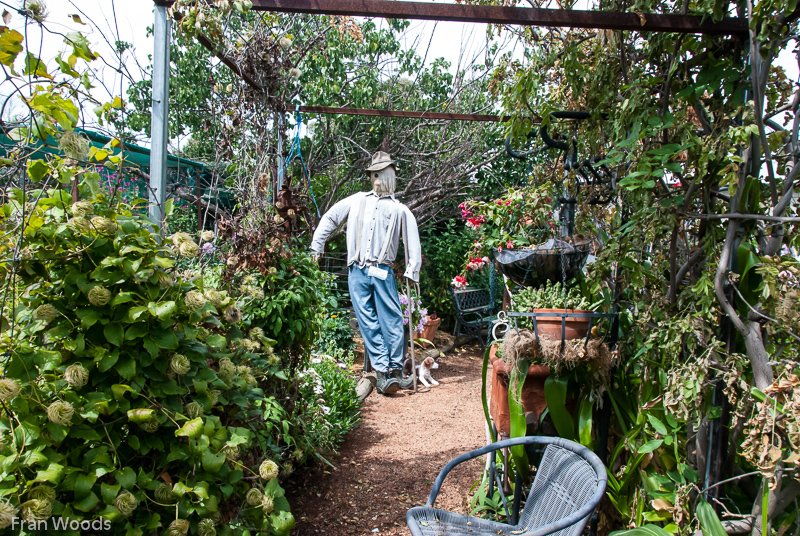 Oldfield's garden, Yass