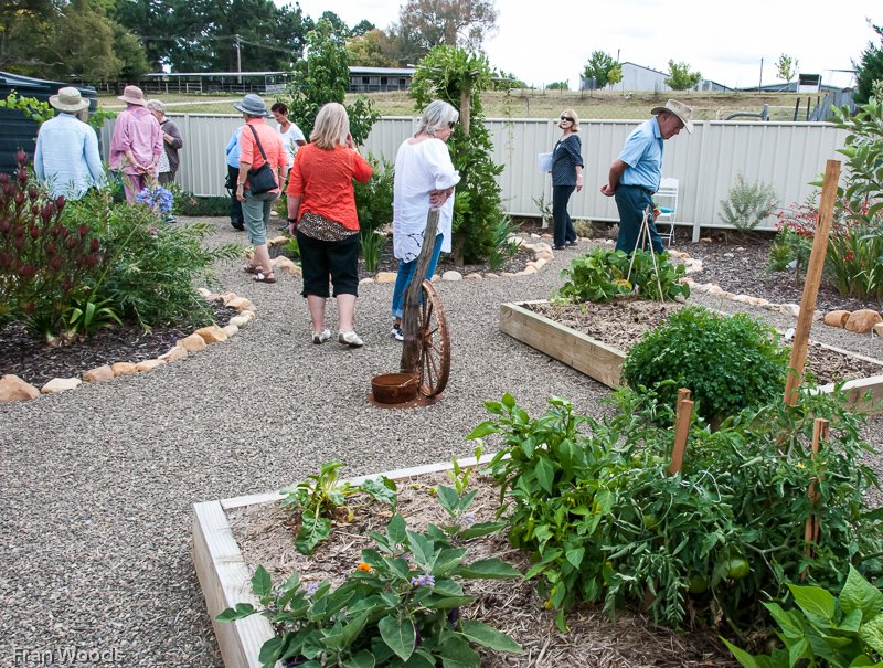 Willis' garden, Yass