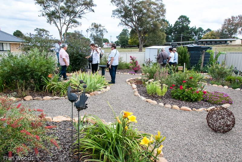 Willis' garden, Yass