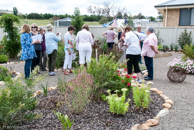Willis' garden, Yass